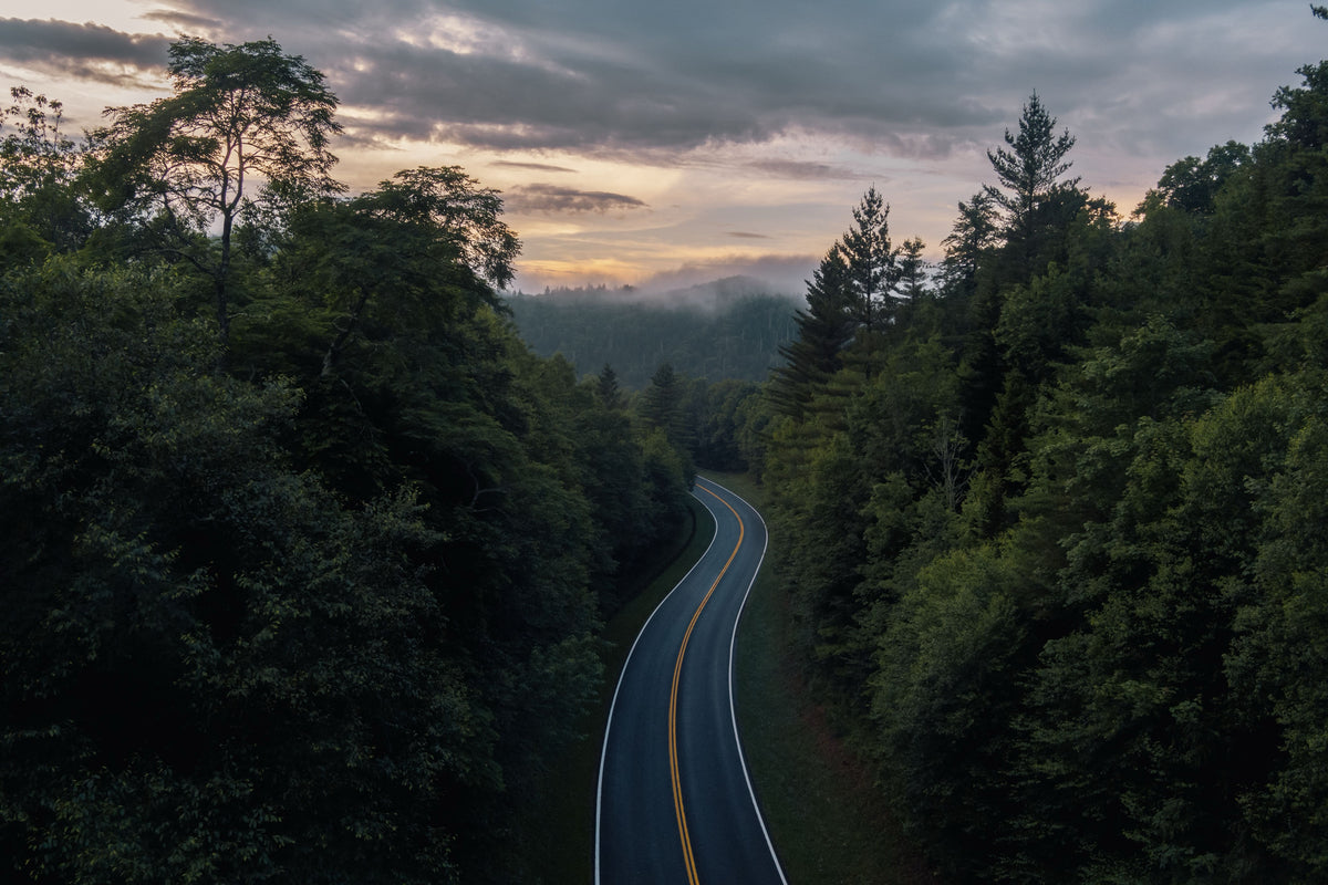 Route sinueuse dans une forêt dense au lever du jour, avec des montagnes dans la brume